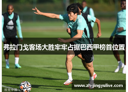 弗拉门戈客场大胜牢牢占据巴西甲榜首位置 弗拉门戈客场大胜牢牢占据巴西甲榜首位置